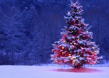 Carols Around the Christmas Tree – Sunday 16th December at 4pm
